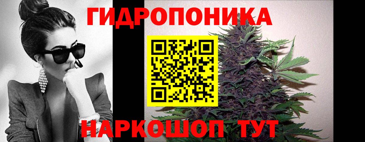 Нефтекамск  Бошки Шишки тримм  Бошки Шишки семена  МАРИХУАНА Bruce Banner  Вход с VPN 